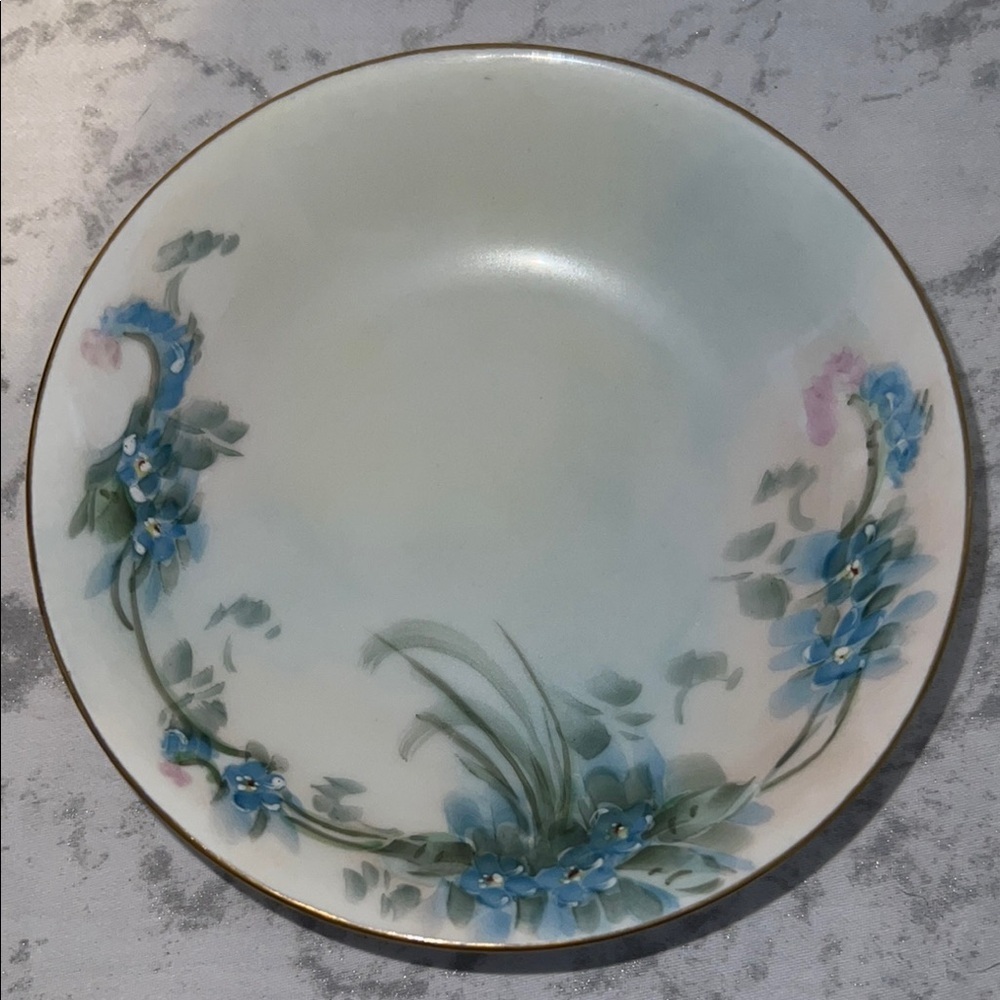 Vintage Hutschenreuther Selb Bavaria Hand Painted Saucer with Gold Trim